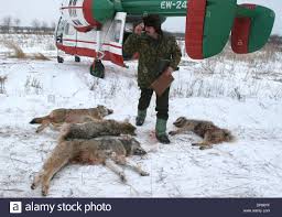 Von tierexperimenten weiß man, dass durch strahlung alle arten von mutationen ausgelöst werden. 8 Februar 2006 Tschernobyl Ukraine Foto Polessk Strahlung Okologische Reserve Park Befindet Sich 30 Km Kontaminierten Gebiet Von Tschernobyl Riesige Gebiet Der Reserve Park Ist Von Menschen Verlassen Arbeiter Der Reserve Park