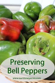 Check spelling or type a new query. Pin On Homesteading For Beginners Skills Hacks Prepper Gardening Survival
