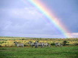 rainbow