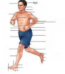 Maybe you would like to learn more about one of these? Body Parts Exercise About The Human Body English