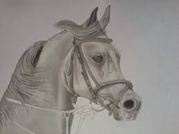 رسم ذوات الأرواح باليد youtube