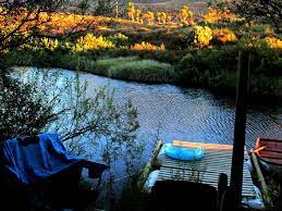 Suikerbossie Suikerbossie Guest Farm Next To A River You Get Campsites For Tents Caravans Bush Wagons Or Self Glamping Site South Africa Travel Campsite