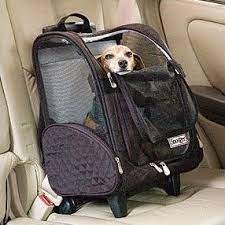 snoozer wheel around travel pet carrier kopek malzemeleri kopek aksesuarlar