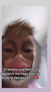 Palabras Para Tus Primos