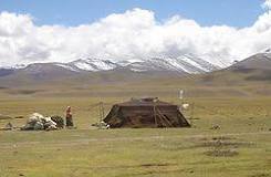 Image result
