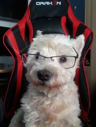 For more information and source, see on this link : Cabinete Clinici Veterinare Non Stop Buzau