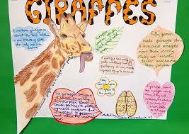 Animal Facts Giraffes Cool Science Fair Projects Science Classroom Decorations 5th Grade Science Projects