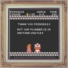 Thank You Princess but Our Plumber is in Another Castle. - Etsy