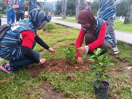 5 cara menanam pokok bunga siti zubaidah dan tips penting #caramenanambungasitizubaidah. Official Bskn Na Twitteru Bskn Utara Menanam 120 Anak Pokok Bunga Raya Datoabdulhadi Syamsam89 Gohhweehwa Http T Co C63edfijbf