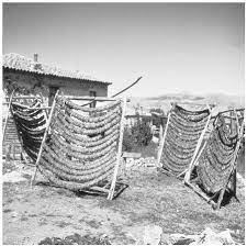 Macedonia cultural manifestations & macedonia cultural events. Culture Of Macedonia History People Clothing Women Beliefs Food Customs Family Social