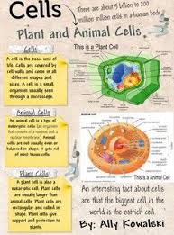 12 Levels Of Biological Organization From Smallest To Largest The Cell From Latin Cella Meaning Small Room Is The Basic Structural Functional And Biological Unit Of A Science Cells Biology Classroom Science Biology