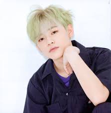 Bintang reality show keeping up with the kardashian (kuwtk) dan pemeran saturday night live itu … Scan Nct Dream Nctdream Wegoup We Go Up Album ì²œëŸ¬ Chenle Nct Dream Chenle Nct Chenle Nct