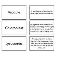Full of proteins that control cell metabolism, allows organelles to do what they do. Cell Organelle Vocab Match Up Vocab Make Flash Cards Flashcards