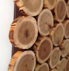 Here S Another Way To Bring Some Rustic In To The Room Create A Backdrop Of These Cedar Rounds Make It About 4 Log Wall Wood Wall Hanging Modern Wall Decor