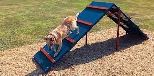 How To Build An A Frame Agility Ramp