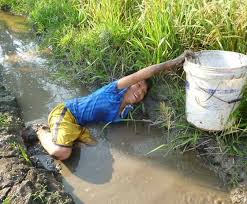 Hương khói cua đồng