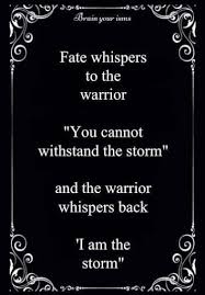 Ae8eeae4d3adc62e689b17e3df6824b2 Jpg 354 509 Pixel Warrior Quotes Words Quotes