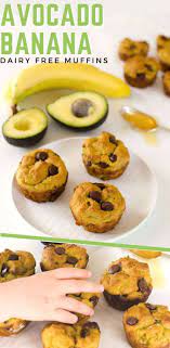Avocado Banana Choc Chip Muffins Dairy Free Low Sugar Recipe Dairy Free Muffins Banana Choc Chip Muffins Choc Chip Muffins