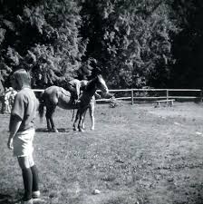 Hidden Valley Camp in the Truman Era
