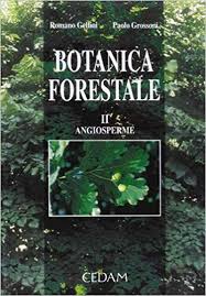Scarica Libro Gratis Botanica Forestale 2 Pdf Epub Botanica Books Flashcards