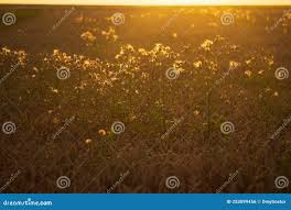 Av4 Us Stock Photos - Free & Royalty-Free Stock Photos from Dreamstime