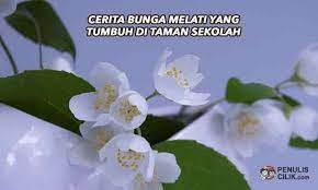 Cerita Bunga Melati Yang Tumbuh Di Taman Sekolah Penulis Cilik Bunga Taman Taman Bunga