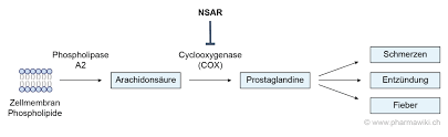 Pharmawiki Nsar