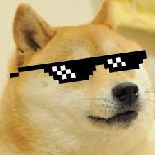My all crystal doges speedrun for roblox: Create Meme You Can Come In If Th Here Krutenko Roblox Wanna Be Like U Doge Edition By Dj Doge Free Listening On Soundcloud Doge For Steam Pictures Meme Arsenal Com