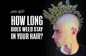 There's no universal standard for how long weed stays in anyone's system because it depends on too many variables. How Long Does Weed Stay In Your Hair Stoner Things