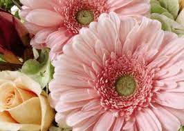 The home offers both an open feeling but includes a formal living and dining room. About Us And Business Hours Country Squire Florist Louisville Ky 40223