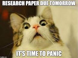 Scared Cat Meme Research Paper Due Tomorrow It S Time To Panic Image Tagged In Memes Scared Cat Teacher Memes Funny Funny Thanksgiving Memes Teacher Humor
