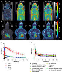 Tired of being a hero, demon king, savior, or emperor, he decides this time to live a life of debauchery. Kinetic Modelling And Quantification Bias In Small Animal Pet Studies With 18f Ab5186 A Novel 18 Kda Translocator Protein Radiotracer