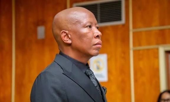 Julius Malema sentenced to direct imprisonment and fines | George Herald