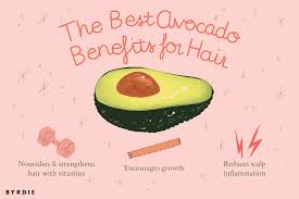 Avocado For Hair I Ate 2 Avocados A Day To Improve My Hair