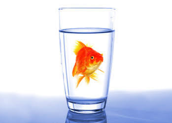 Why does my water smell like fish?