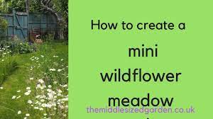 Maintenance is an essential ingredient in the creation of a successful wildflower stand. How To Create A Mini Wildflower Meadow In Your Garden Youtube