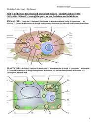 We did not find results for: Cells Alive Webquest By Bringing Science To Life Tpt