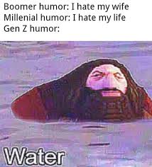 Considering this etymology, a meme can be used to provide. Generation Z Humor Teh Meme Wiki Fandom