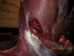 Chords for massive exit wound! Exit Hole Question Page 2 Long Range Hunting Forum