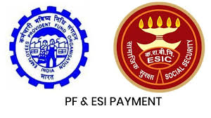 Every company has a different epf payment due date as it varies according to the individual's salary or compensation date. Pf And Esi Payment Due Date Late Fees Interests