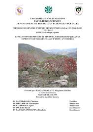 Image result for Scleria lateritica