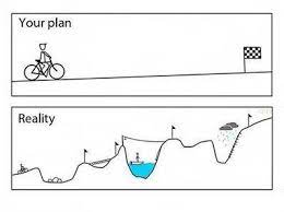 The Best Laid Plans Of Mice And Men
