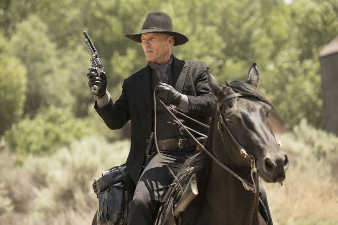 Westworld season 1, episode 2: “Chestnut” reveals an unfortunate glitch in  the show's programming | Vox