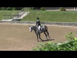 Video of Focus ridden by Schaefer Raposa from ShowNet!