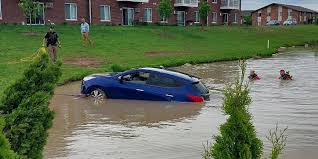 Good Samaritans rescue people from car sinking in pond