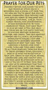 A very special collection of poems by john quealy. Prayer For Sick Dog Doggies
