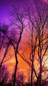 Pin By Dnp Cotizaciones On Fondos De Pantalla Para Celulares Beautiful Images Nature Sunset Tree Wallpaper