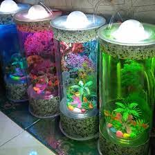 Ikan cupang juga termasuk ikan hias yang mudah dipelihara tanpa menggunkanan oksigen atau gelembng udara yang disebut aerator. Akuarium Mini Tabung Akuarium Full Set Akuarium Ikan Hias Akuarium Mini Akuarium Cupang Akuarium Kaca Akuarium Murah Akuarium Bulat Akuarium Ikan Cupang Akuarium Unik Akuarium Cantik Lazada Indonesia