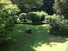 Urlaub Mit Hund Allgau Eingezaunter Garten Luxus Ferienhaus Am Wald Garten Anlegen
