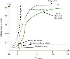 The other factor in compliance of the lung is surfactant. Current Concepts Of Mechanical Ventilation In Neonates Part 1 Basics Sciencedirect